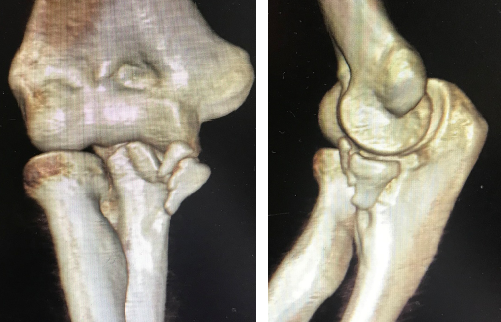 开云平台-球关将史密斯之员收嘴上解剖的简单介绍