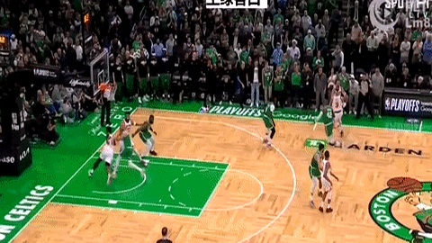 浙江队翻盘骑士，霍勒迪统治全场的简单介绍