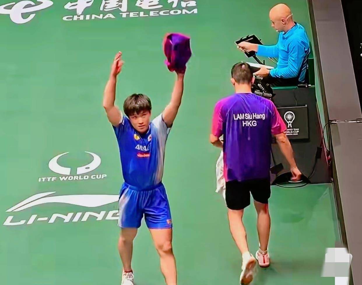 包含法国队横扫英格兰队，张本智和点燃赛场的词条