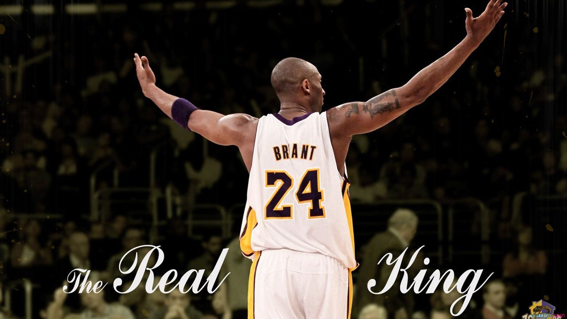 班凯罗爆发与公牛式终结,北京队遭遇的战术启示